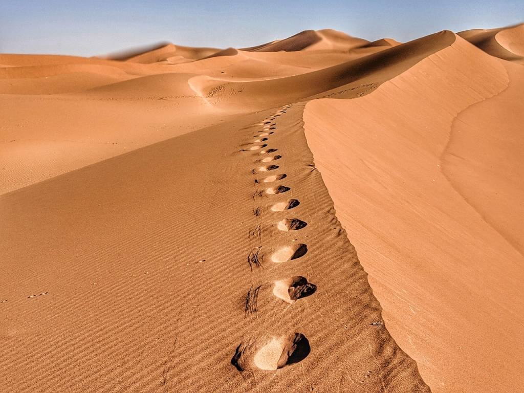 Voyager à travers le silence du Sahara en Algérie